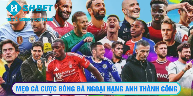 Mẹo cá cược bóng đá Ngoại hạng Anh thành công được sân chơi giới thiệu